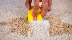 Teppich wird in 10 Minuten wie neu: effektiver Trick ohne Ausklopfen oder Staubsauger