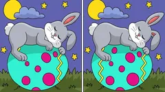 Rätsel: Finden Sie 3 Unterschiede beim schlafenden Hasen auf dem Osterei – in 9 Sekunden?