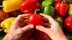 Welche Peperoni ist gesünder: rot, gelb oder grün? Experten beenden den Streit