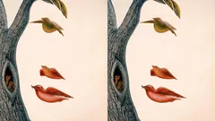 Psychologischer Test: Das Erste, was Sie sehen, verrät, wovon Ihr Unterbewusstsein träumt